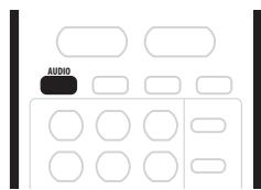 PIONEER DVR5100H - Changer de canal audio - 1