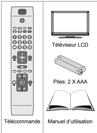 BRANDT B 3213 HD - Contenu du carton - 1