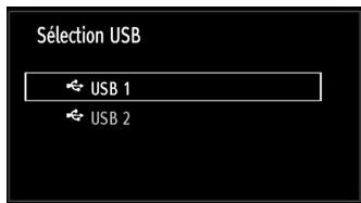 BRANDT B 3213 HD - Lecture de médias via navigateur media - 2