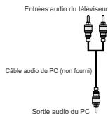BRANDT B 3213 HD - Connexion du téléviseur LCD à un PC - 3