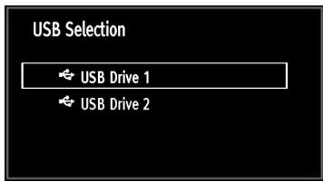 BRANDT B 3213 HD - Media Playback Using Media Browser - 2