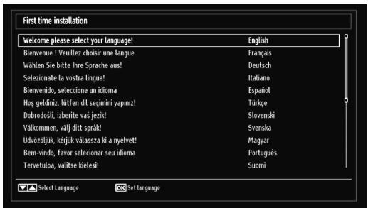 BRANDT B 3213 HD - IMPORTANT: Ensure that the aerial is connected before switching on the TV for the first time installation. - 1