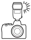 NIKON Z5 - Flashes installés sur le boîtier - 1