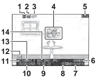NIKON Z5 - Informations sur le fichier - 1