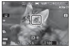 NIKON Z5 - Mise au point sur les visages ou les yeux des animaux (AF détention des yeux/visages des animaux) - 2