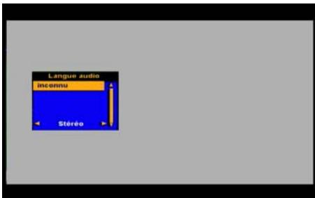 SAGEMCOM DS77 - Sélectionner une langue audio - 1