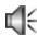 SONY W950i - Icone Fonction - 13
