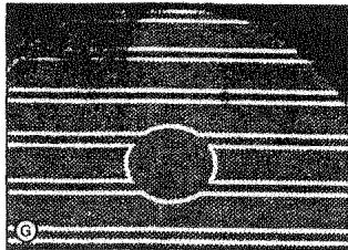 KOCH GK2TC - Changements de couleur de la table de cuisson - 7