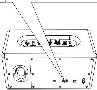 MARSHALL STANMORE - Entrée 2 - PORTS RCA - 2