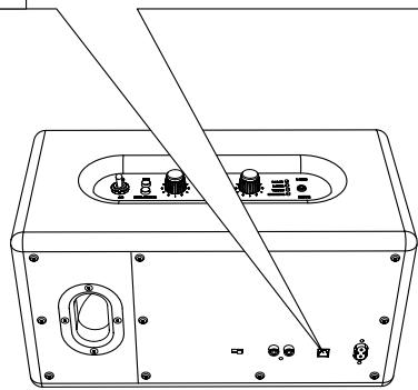 MARSHALL STANMORE - Entrée 2 - PORTS RCA - 4