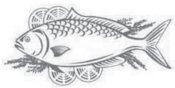 THOMSON THD254NFSL - Poisson et fruits de mer - 2