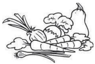 THOMSON THD254NFSL - Fruits et légumes frais - 1