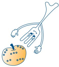 SCHOLTES MWI243WH - Règles fondamentales pour une bonne cuisson aux micro-ondes - 1