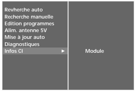 LG-GOLDSTAR 60PF95 - CI [COMMON Interface] information (INFOS CI (interface commune)) (en mode numérique uniquement) - 11