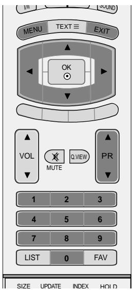 LG-GOLDSTAR 60PF95 - Controle parental - 1
