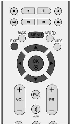 LG-GOLDSTAR 60PF95 - Mémorisation des châines (en mode numérique) - 2