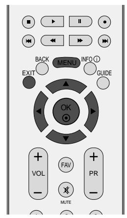 LG-GOLDSTAR 60PF95 - CI [COMMON Interface] information (INFOS CI (interface commune)) (en mode numérique uniquement) - 8
