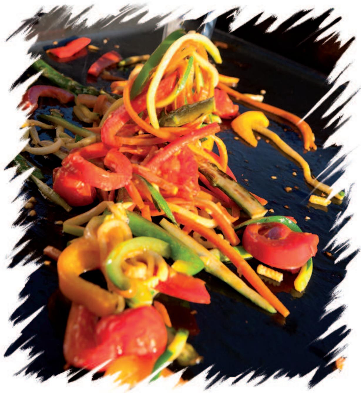 FORGE ADOUR INDOOR - Plancha electrique MOD; INDOOR - 1