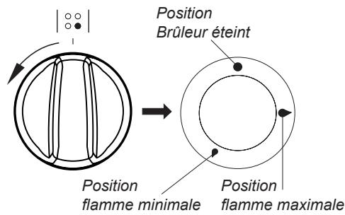AMICA ACM7035VN - Choix du récipient - 2