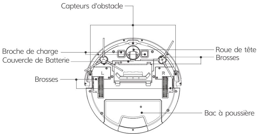 ZACO V80 - Anatomie du robot - 2