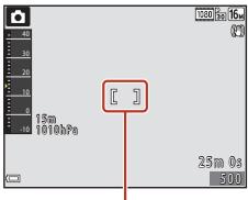NIKON COOLPIX W300 - Mode de zones AF - 4