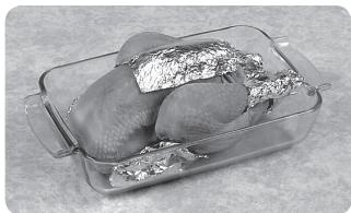PANASONIC NN-E20JWMEPG - STÖRRE KÖTTBITAR OCH FÄGEL - 1