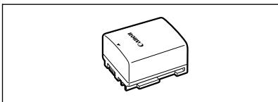CANON FS305 - Batteries d'alimentation - 2