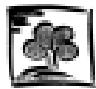LADEN AM 3798 - Emballage - 1