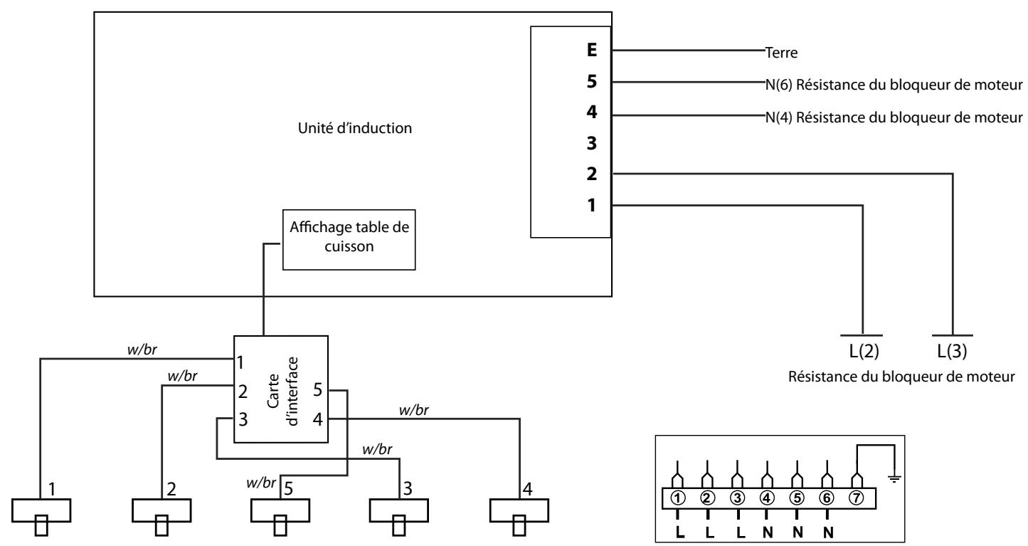 FALCON CDL100EICR/B-EU - Table de cuisson - 1