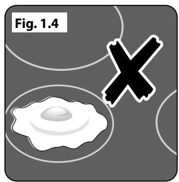 FALCON CDL100EICR/B-EU - Entretien de l'induction - 2