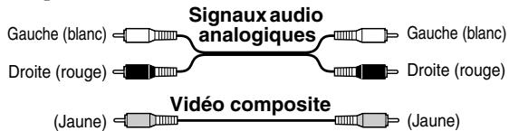 ONKYO HT-S5105B - Code de couleurs des prises RCA pour appareils AV - 1