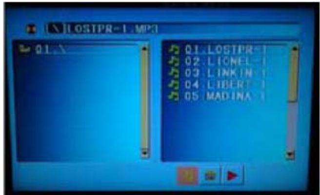 TOKAI LCD191W/MPEG2 - Lecteur de cartes mémoires / port USB - 2