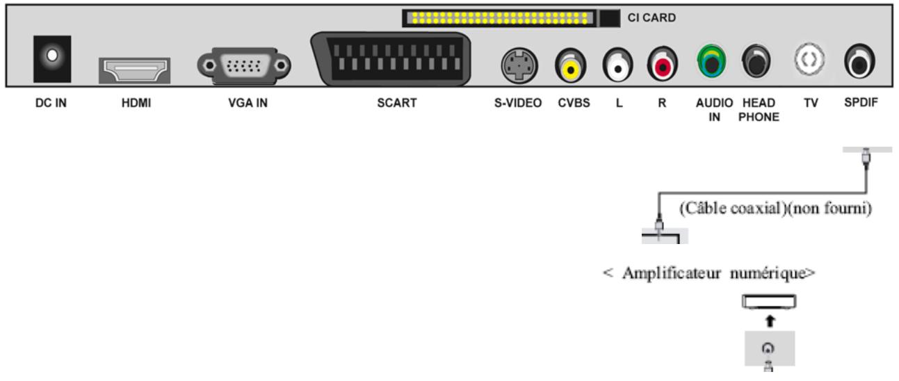 TOKAI LCD191W/MPEG2 - Connexion à un amplificateur numérique (sortie SPDIF) - 1