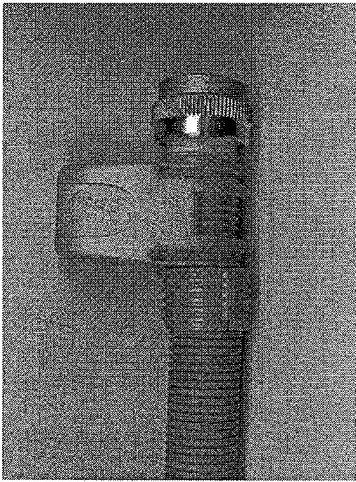 LADEN EV 1233 - Sécurité hydraulique - 1