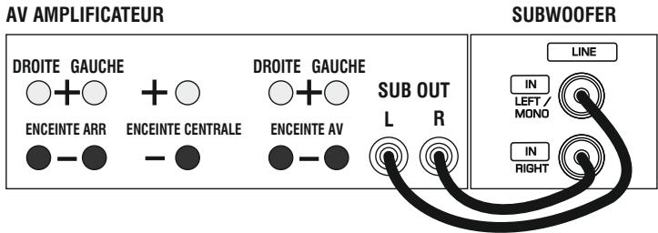 Q-ACOUSTICS Q2000I - Connexions - 1