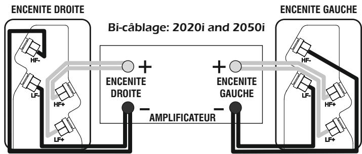 Q-ACOUSTICS Q2000I - Bicablage - 1