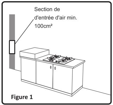 Section de d'entrée d'air min. 100cm² Figure 1