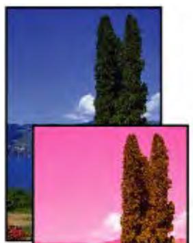 CANON PIXMA TS5851 - Les impressions sont vierges/floues ou troubles/couleurs inexactes ou bavures/traces ou lignes - 4