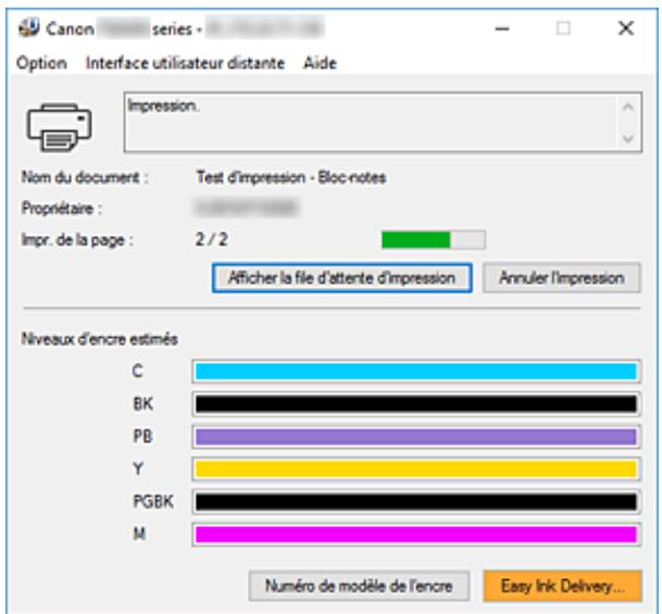 CANON PIXMA TS5851 - Lancement de l'écran d'état canon IJ - 2
