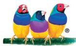 VIEWSONIC VA2225-H - Merci d'avoir choisi ViewSonic - 1