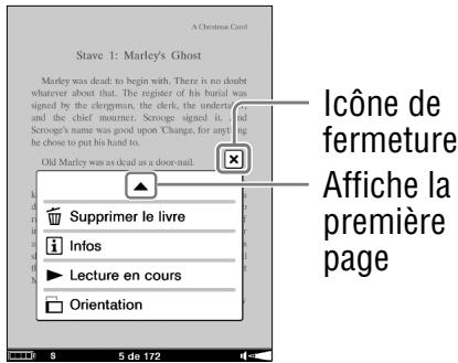 SONY LIVNU PR300 RED - Utilisation du menu d'options de la page du livre - 2