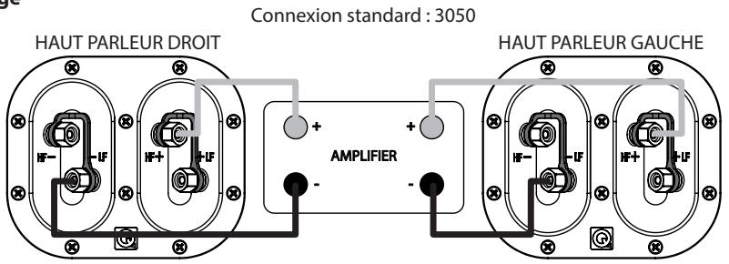 Q-ACOUSTICS 03050 - Connexions standard - 1