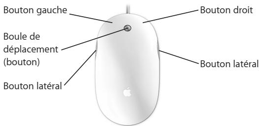 APPLE iMac - Utilisation de la souris mighty mouse - 1