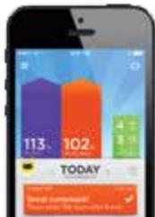 JAWBONE UP24 - 2