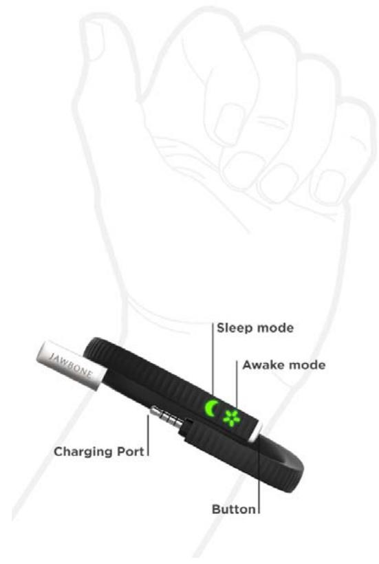 JAWBONE UP24 - Le bracelet - 1