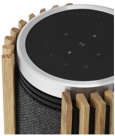 BANG & OLUFSEN NC - 日常使用 - 1