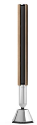 BANG & OLUFSEN NC - FWIYARLEsPowerlink - 2