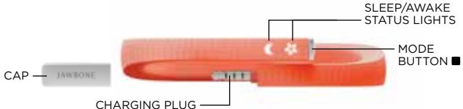 JAWBONE UP24LORANGE - GET TO KNOW YOUR UP BAND - 1