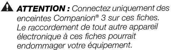 BOSER COMPANION 3 SERIE IT - Connexion des enceintes au module - 1