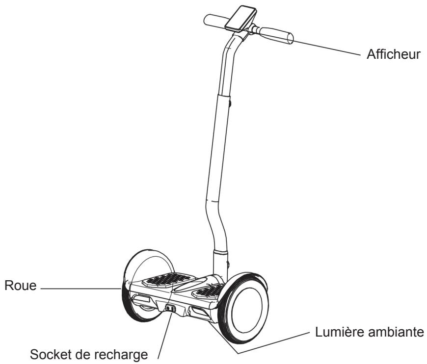 SCOOTY GRAN O3 NOIR - Comment fonctionne votre SCOOTY Q3 - 1